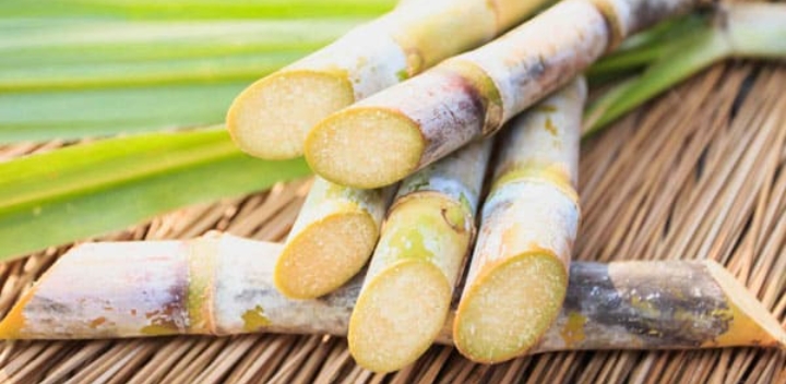 Manis! Aman Agrindo (GULA) Sukses Ubah Rugi Jadi Laba di Q1-2026