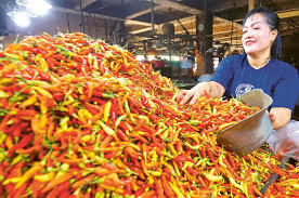 Wah! Sinyal Waspada dari BPS, Siap-siap Harga Pangan Mulai Naik