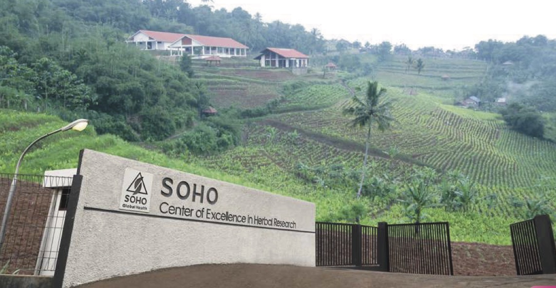 Saham Tertekan, Laba SOHO Kuartal I Melejit 42 Persen