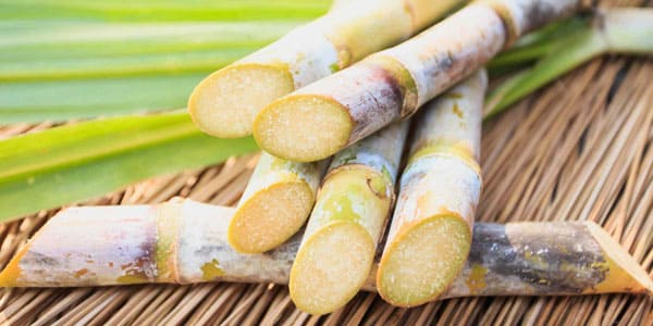 GULA Sukses Pangkas Emisi GRK, 2026 Pacu Efisiensi Energi & Zero-Waste