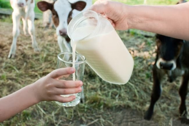 Kemenperin Sodorkan Data, Peluang Besar Bagi Emiten Pengolah Susu