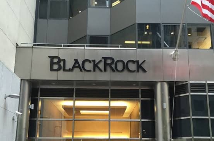 BlackRock Diisukan Borong Saham Emiten Hapsoro (RAJA), Segini Porsinya