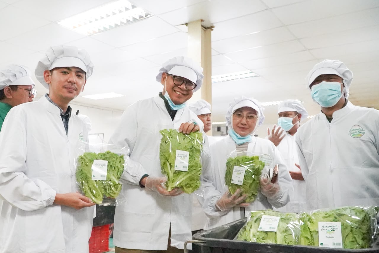 Sayuran Indonesia Tembus Pasar Premium Singapura Lewat Batam