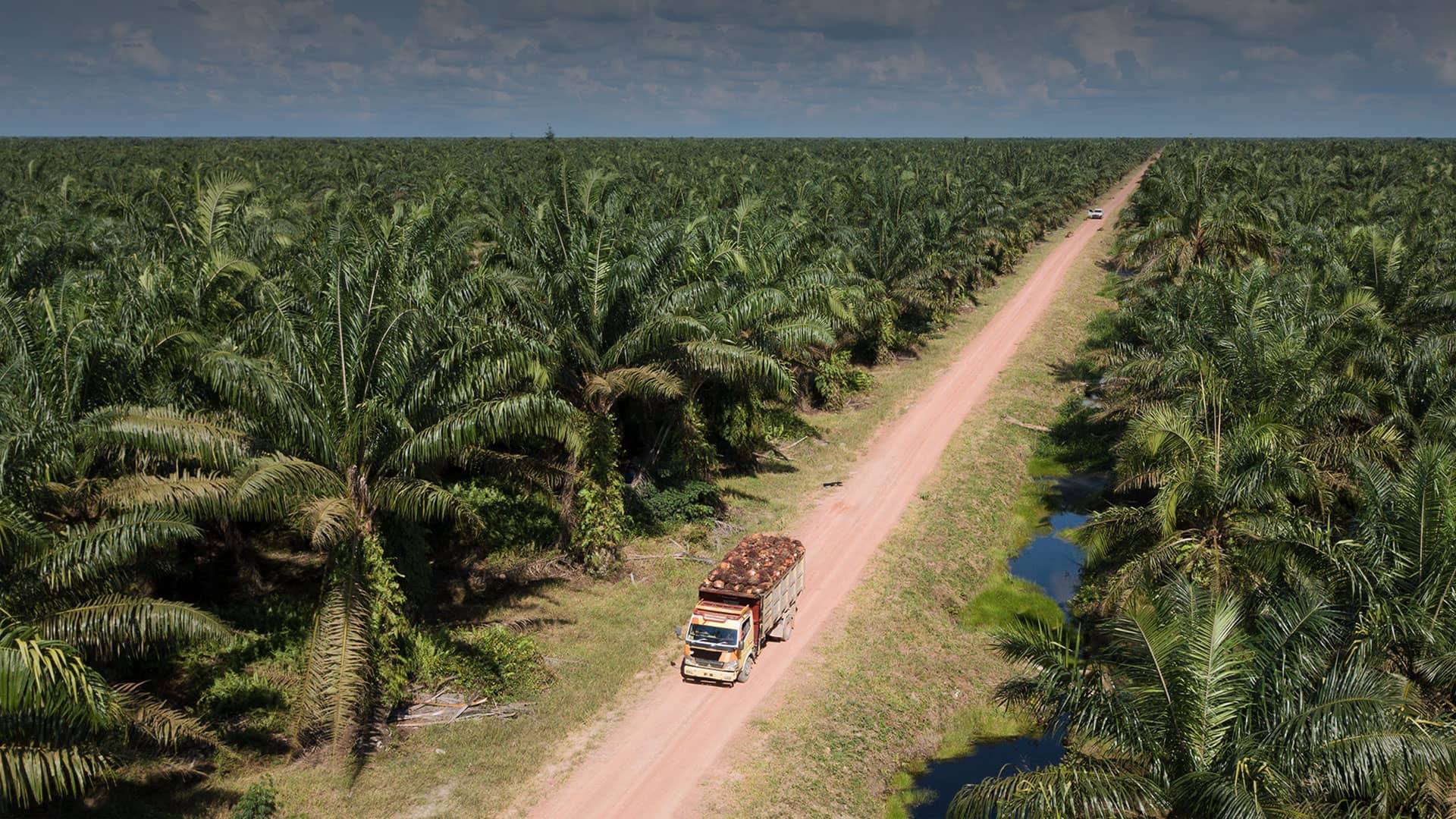 Konversi Utang Rp4,35T UNSP, Porsi Bakrie Anjlok Tapi Tetap Pengendali