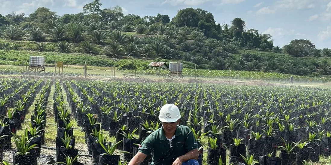 Efisiensi Beban Dongkrak Laba AALI 55 Persen pada Semester I