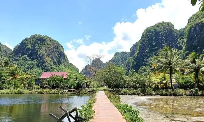 Integrasikan Kopi, Madu dan Pokdarwis, BI Bangun Ekosistem Desa Wisata