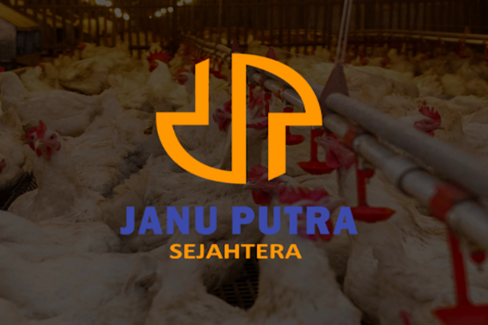 Omzet AYAM Drop Tapi Laba Naik 130%, JP Morgan Serok Sahamnya 1%