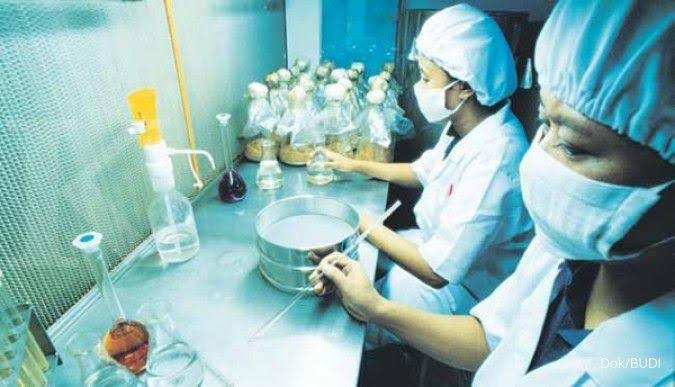Tambah Porsi Senilai Rp42,77M, Budi Delta Kini Kuasai 37,65 Saham BUDI