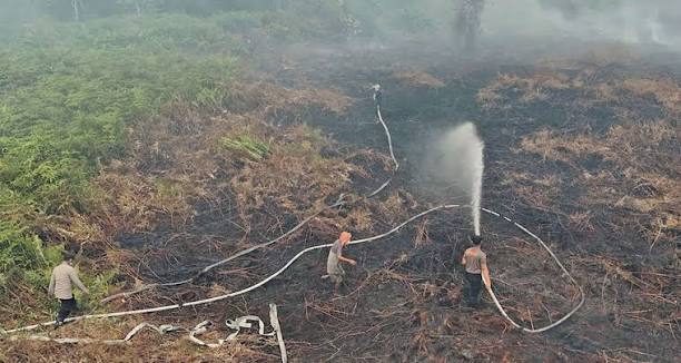 Bahaya Karhutla, Terbesar di Tiga Wilayah di Kalimantan dan Sumatera
