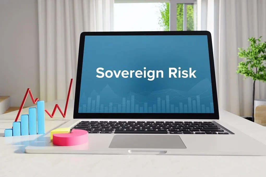 <i>Risk Sovereignty</i> Di Balik Pembentukan PFII