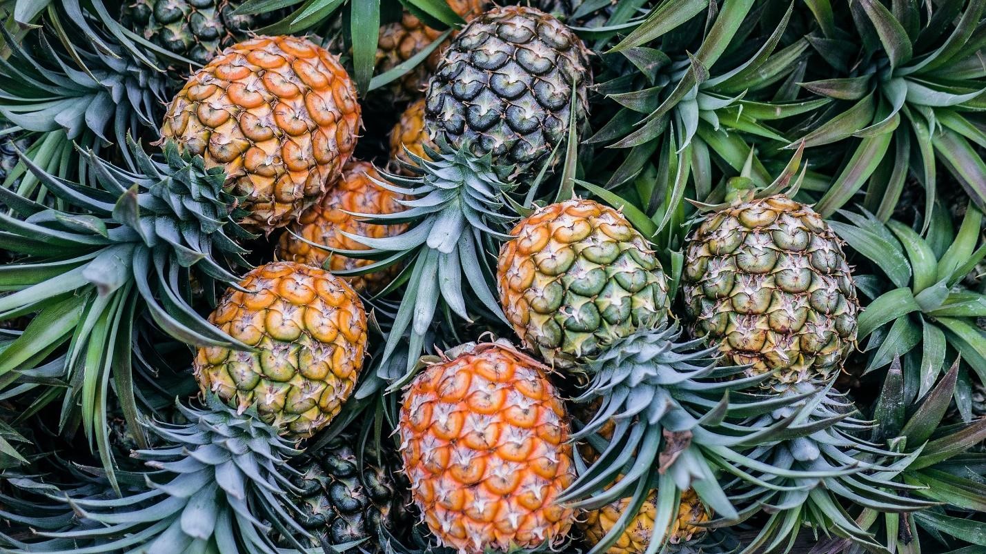 Efek IJEPA: Kuota Bebas Bea Nanas Naik, Saham Agro Siap Mejit