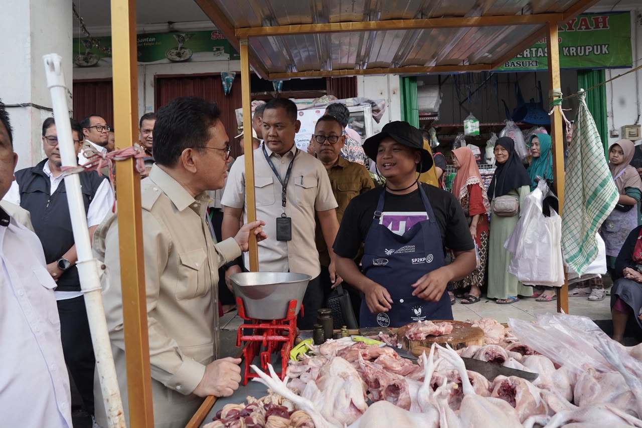 Harga Ayam Stabil Rp42 Ribu, Margin Emiten Unggas Aman