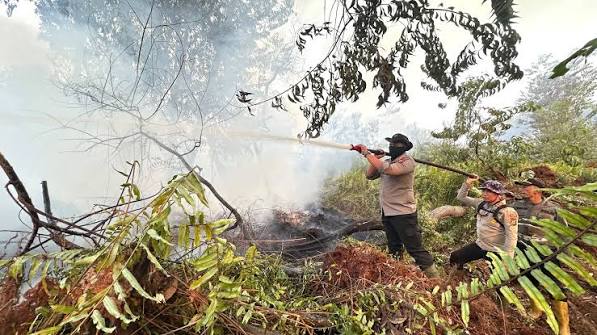 Larang Buka Lahan dengan Cara Bakar, Menteri LH Siapkan Sanksi Tegas