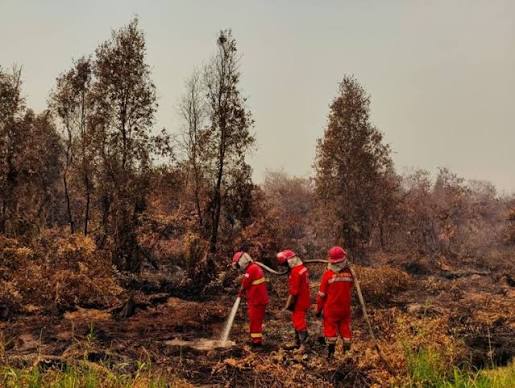 35 Pesawat Asing 8 Negara, Perkuat Penanganan Karhutla di Indonesia