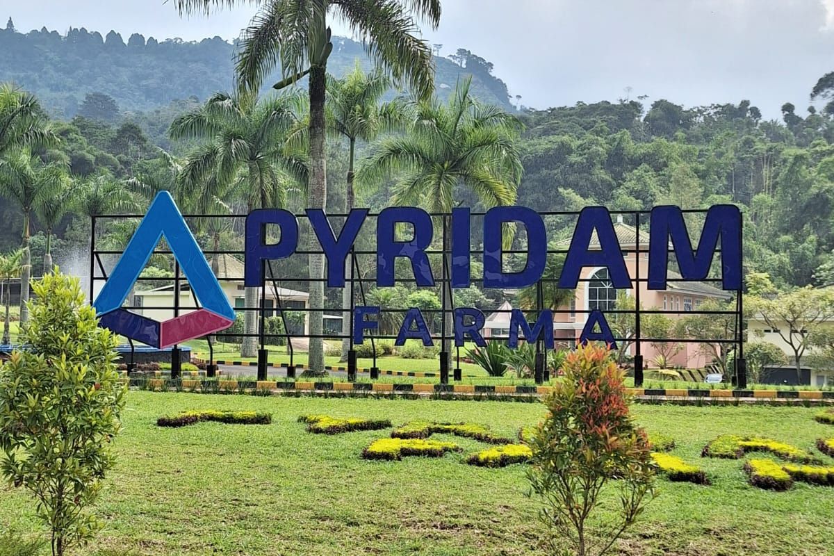 Meski Ditunda, PYFA Pastikan Rencana Right Issue Tetap Berjalan