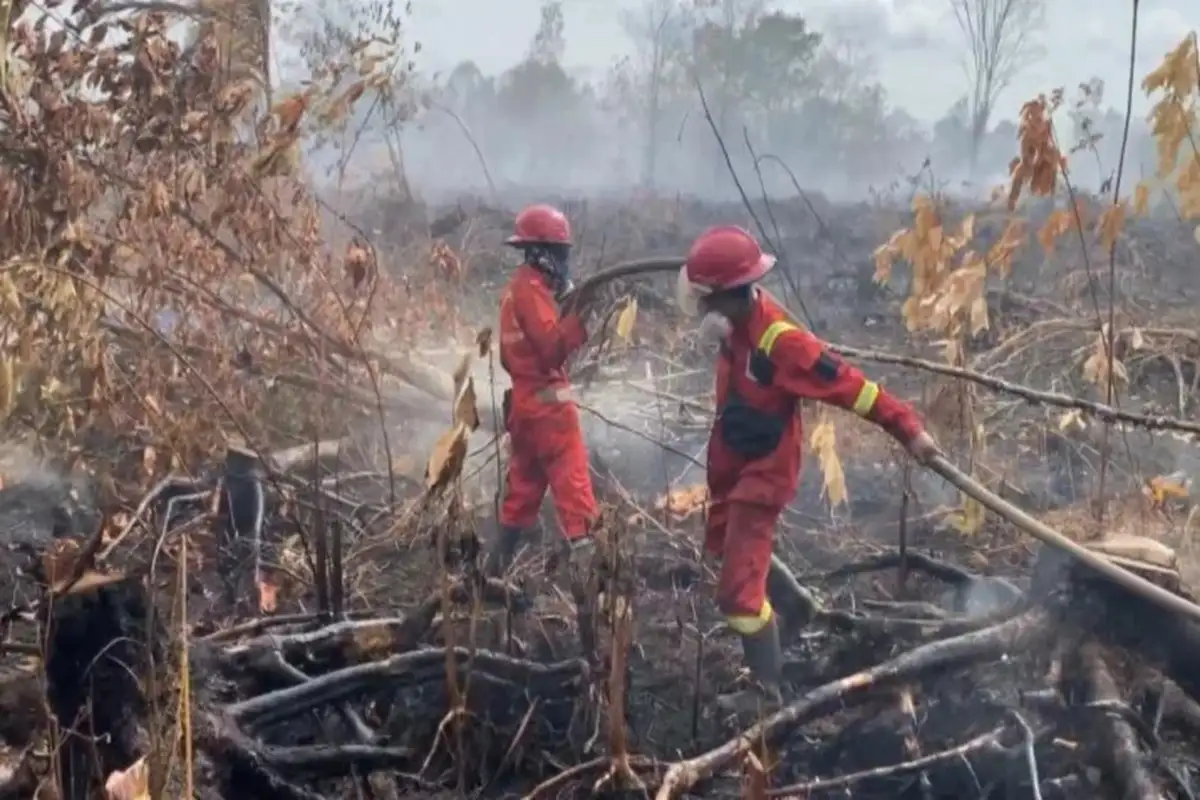 El Nino, Karhutla dan Ujian Ketahanan Kredit Perbankan