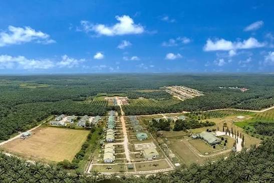 Cek, Presdir Triputra Agro (TAPG) Ini Terus Kurangi Porsi Sahamnya