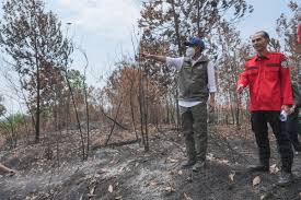 Tindak Tegas Karhutla, Menhut Tutup Izin Lima Perusahaan di Kalbar