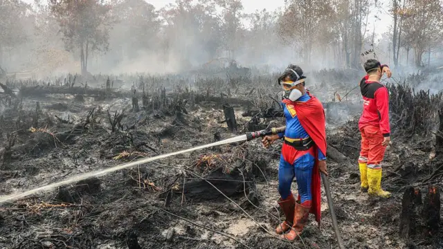Ekonomi Politik Kebakaran Hutan
