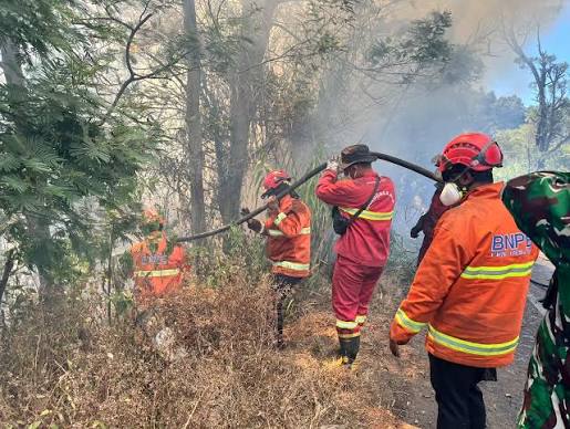 Tindak Tegas Karhutla, Menhut Ungkap Izin 26 Perusahaan Dibekukan