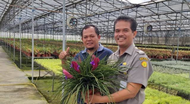 Bukan Sekedar Hobi, Ekspor Florikultura RI Tembus Rp3,51, 96 Negara