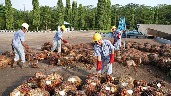 ANJT Beri Pinjaman ke Afiliasi hingga Rp2T dengan Bunga 8,5% per Tahun