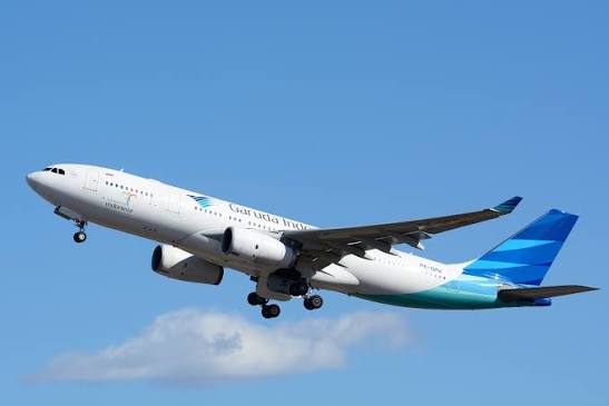Gantikan Glenny, Garuda Indonesia (GIAA) Kini Dipimpin Thomas Sugiarto