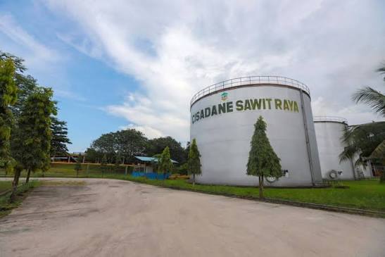 Kinerja Terus Membaik, Cisadane Sawit Raya (CSRA) Siap Bagi Dividen