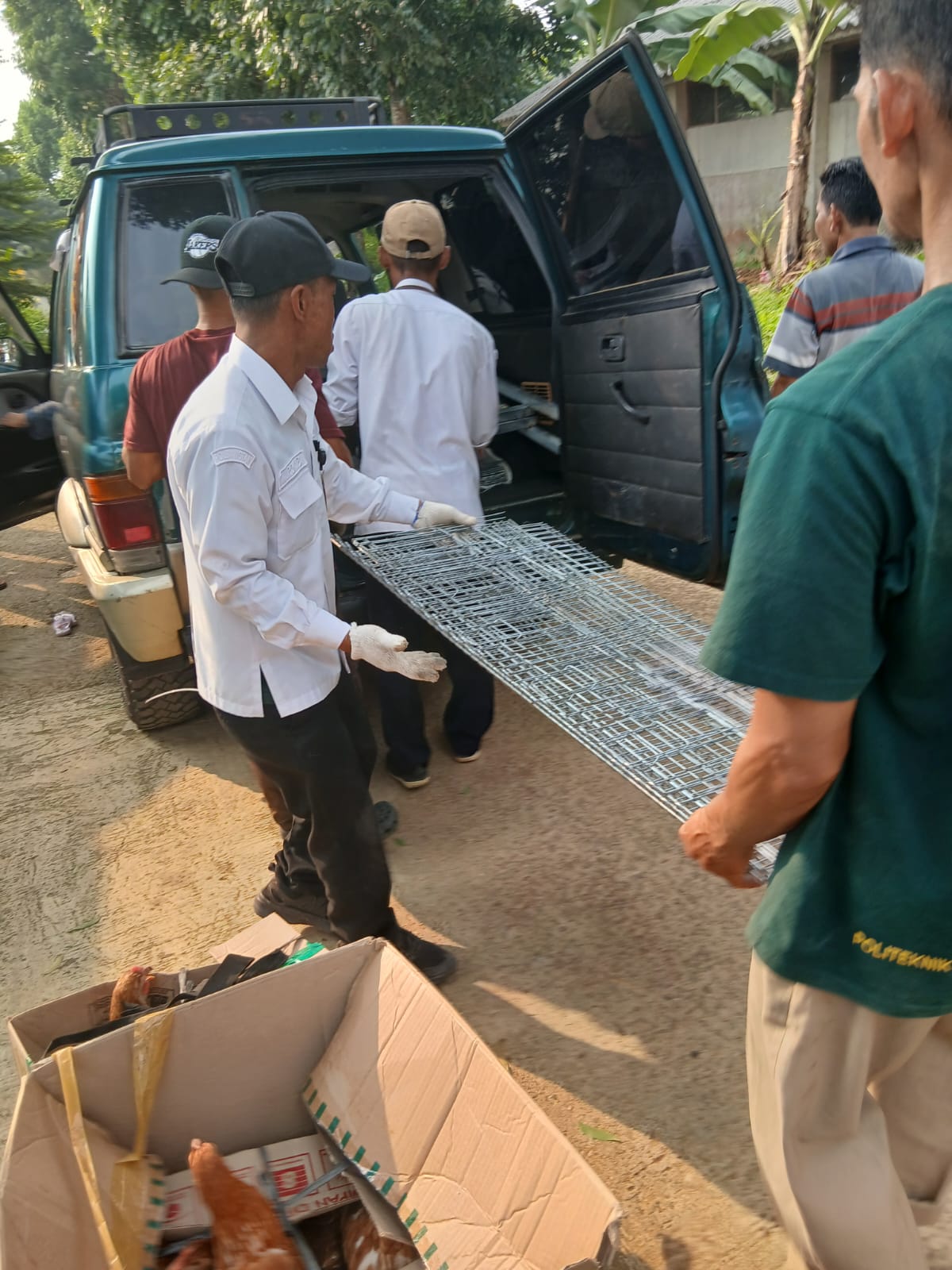 Asa Baru Jurnalis TV Menjadi Wirausaha Ayam Petelur