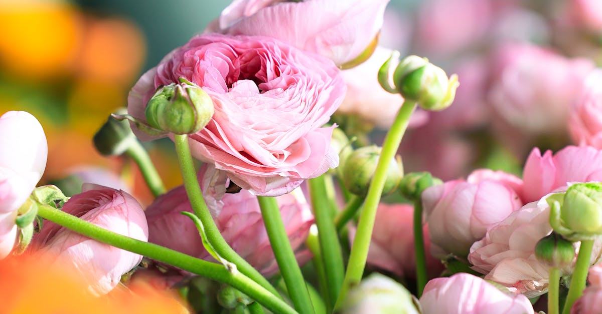 Florists in Denver CO