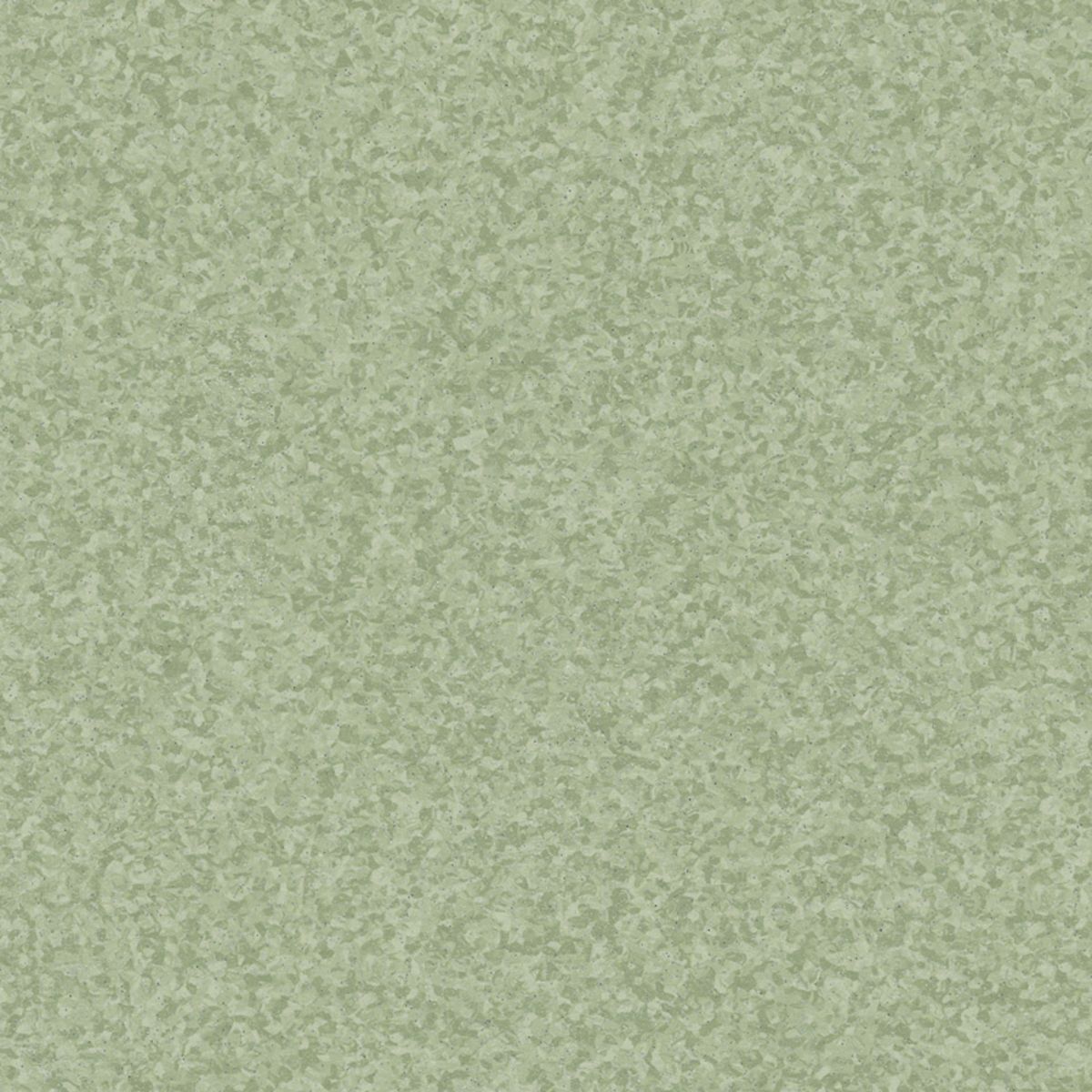 Primo Safe.T Primo MEDIUM GREEN 0803