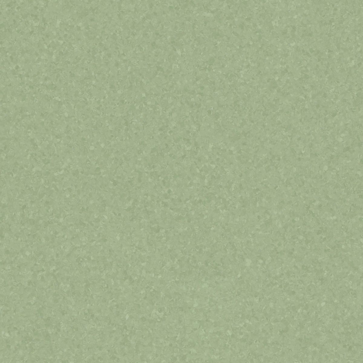 Eclipse Premium Eclipse MEDIUM GREEN 0976