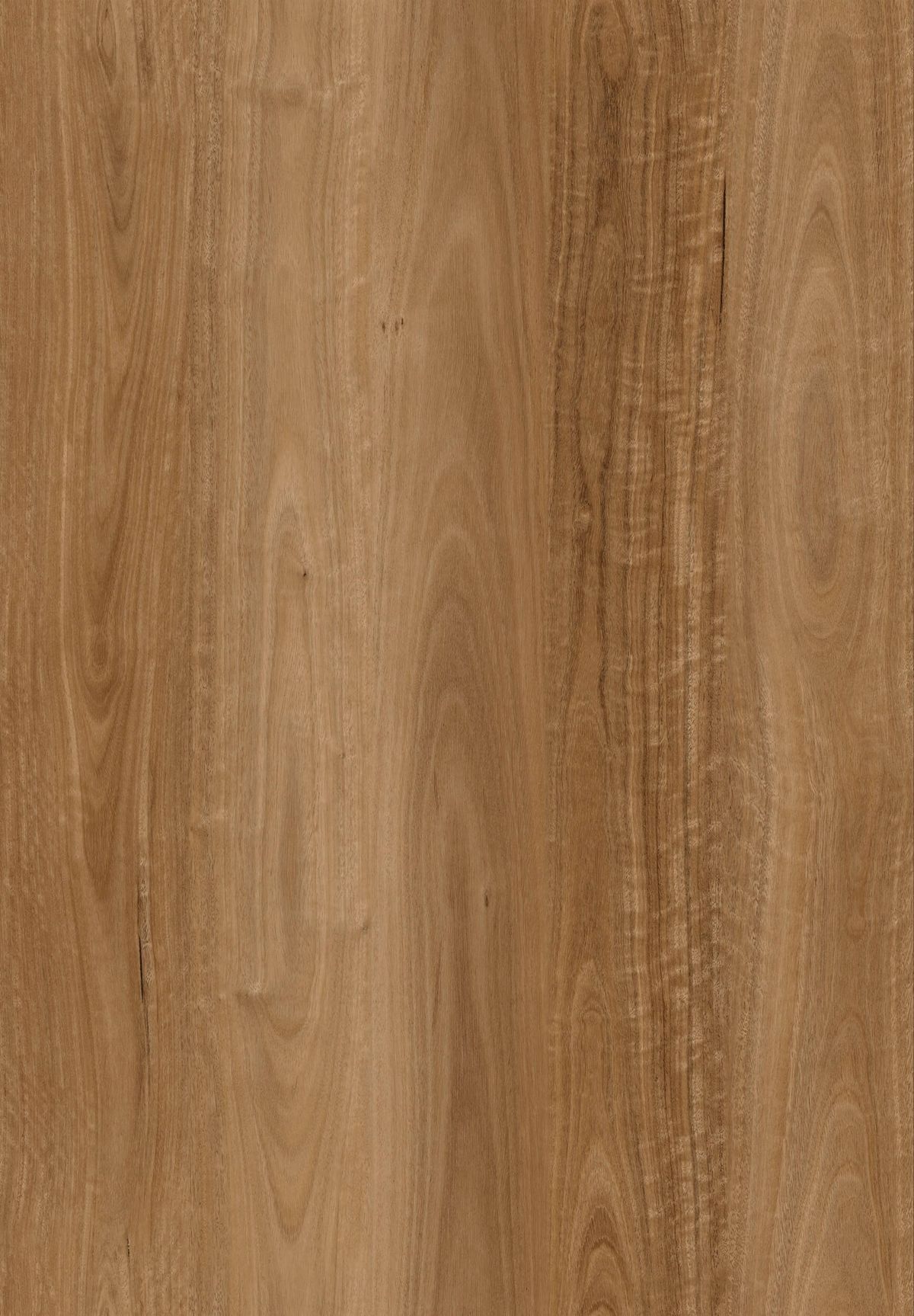 Metropol 1500 Marble Spotted Gum