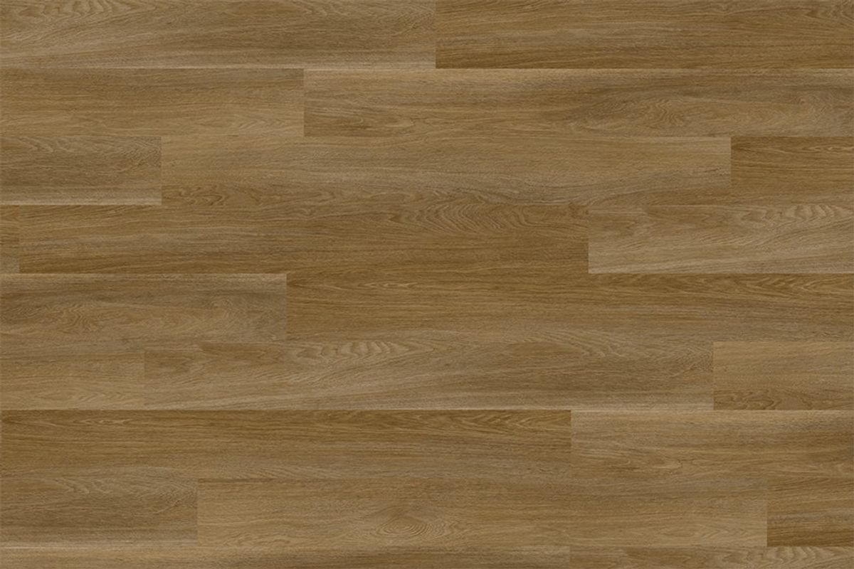 Apollo 1500 Sherbrooke