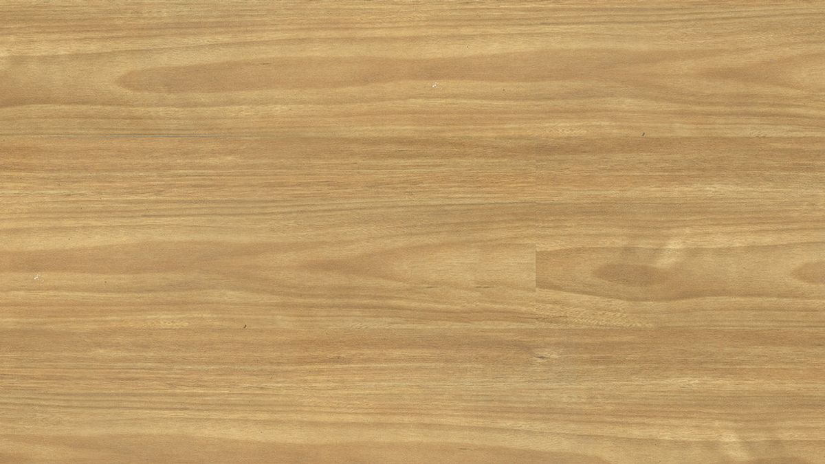 Vista 1500 Blackbutt