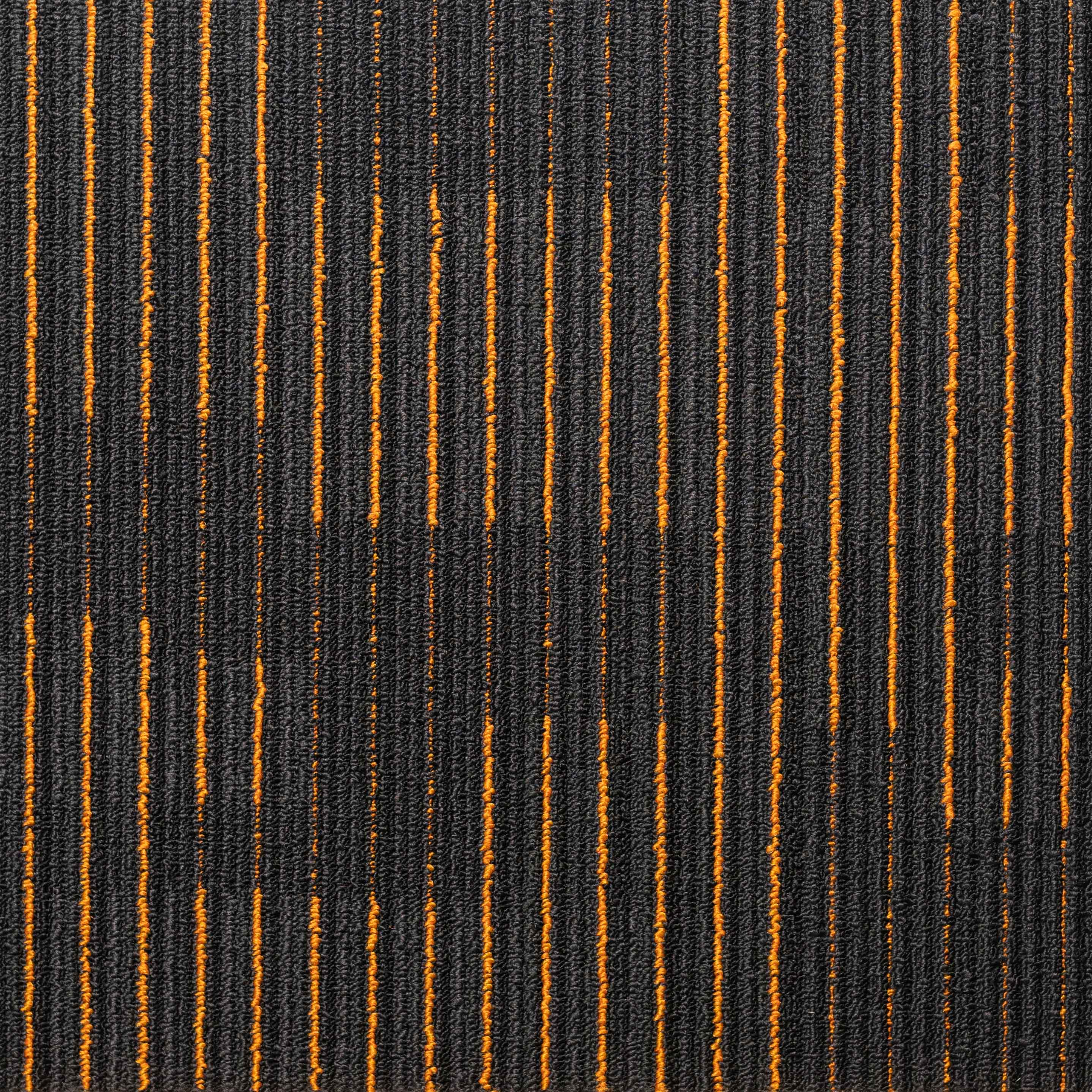 ARIZONA Gold on Black