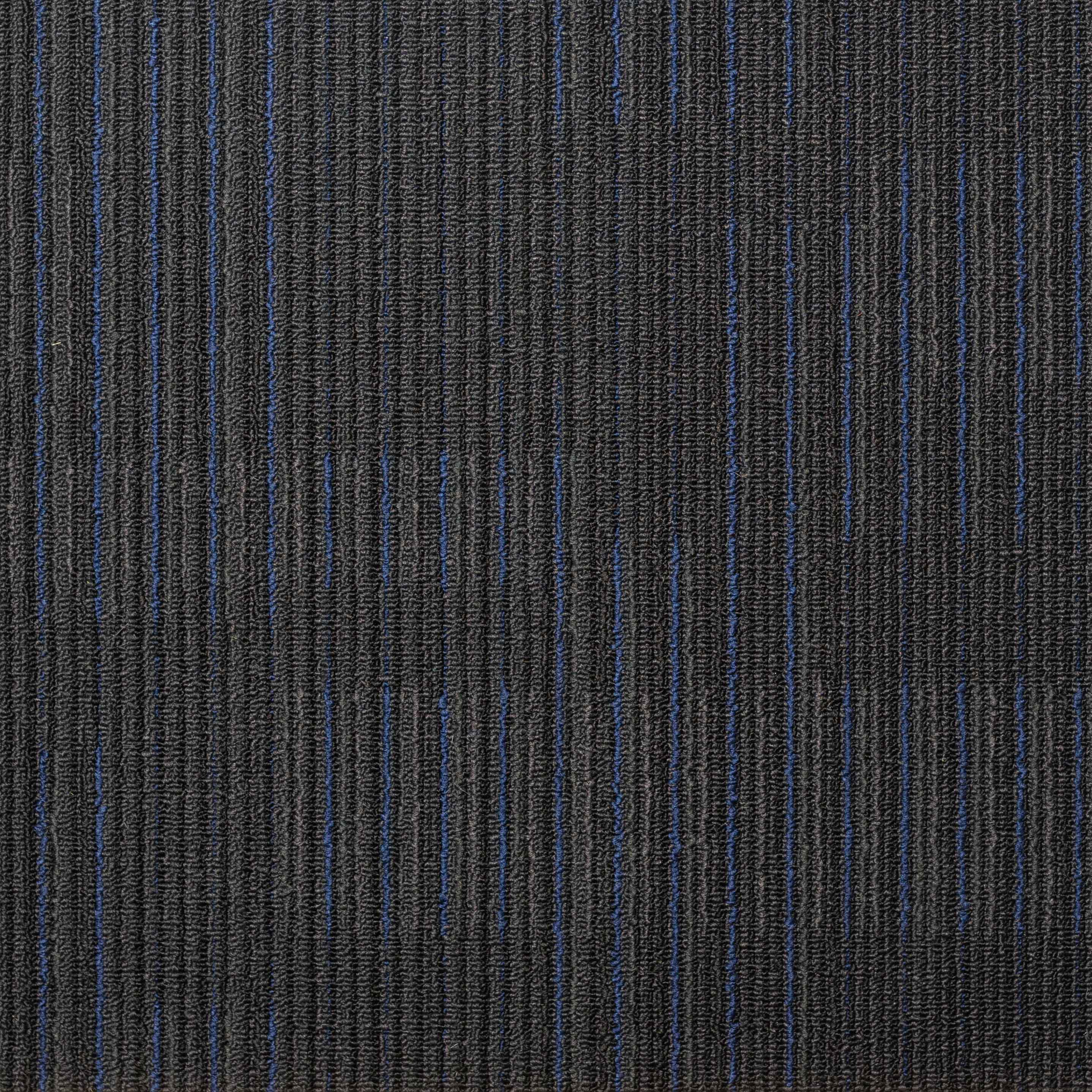 ARIZONA Oxford Blue on Black