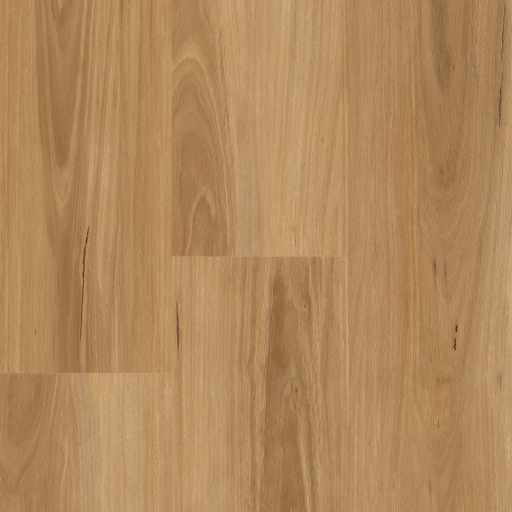 Rigid Plank Mornington Blackbutt