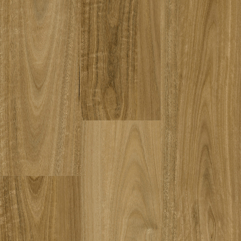 Rigid Plank Lennox Head