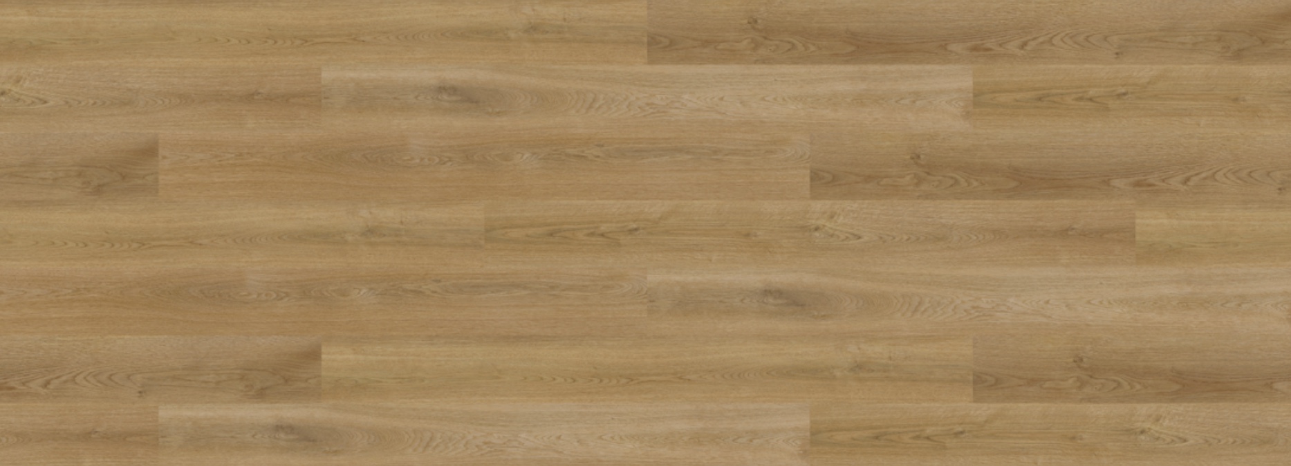 CASCADE Trinity L15/560