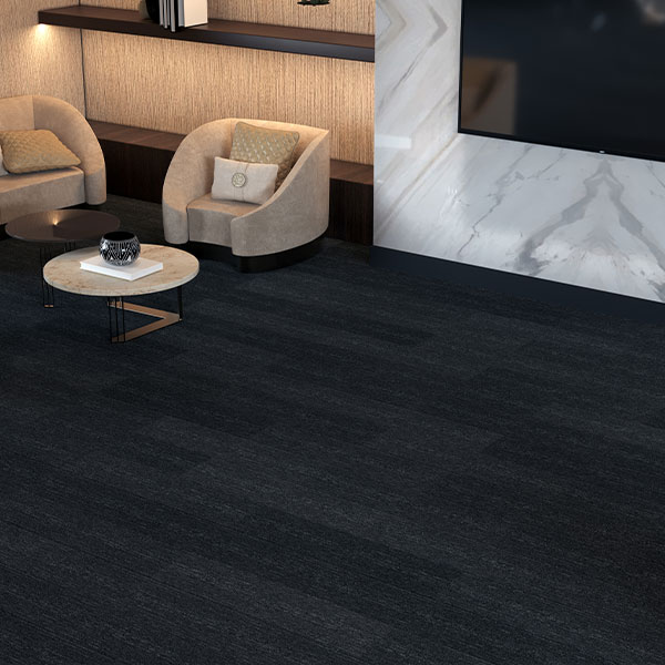 Canyon (QuietBack) Image