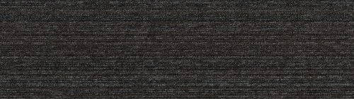 Canyon (QuietBack) Coyote CA03