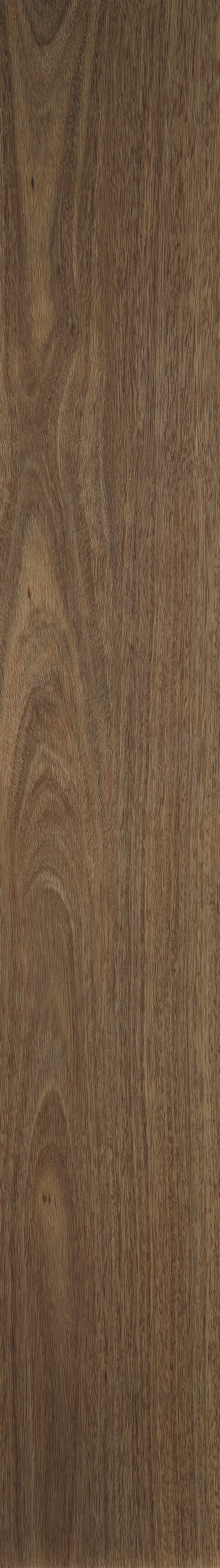 Summerhill Vinyl Plank Spotted Gum