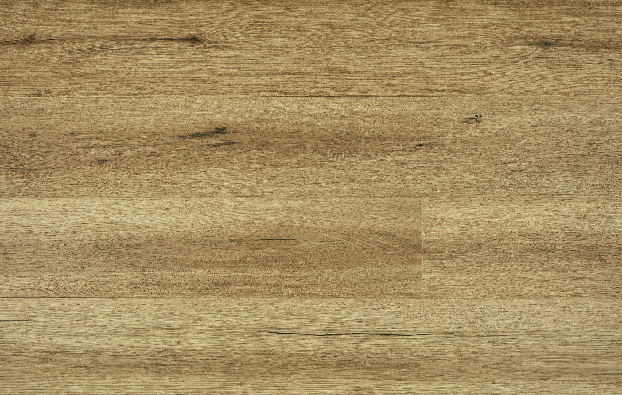 Natural Oak Luxury Vinyl Plank Image