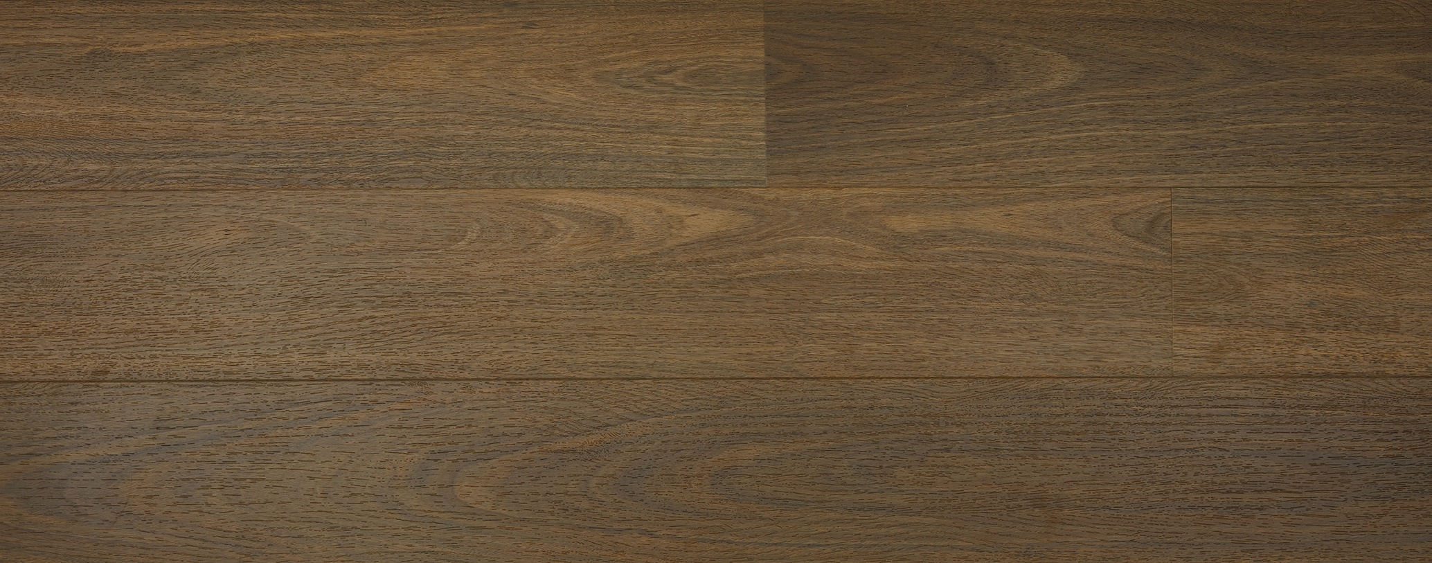 Australian Hybrid Image