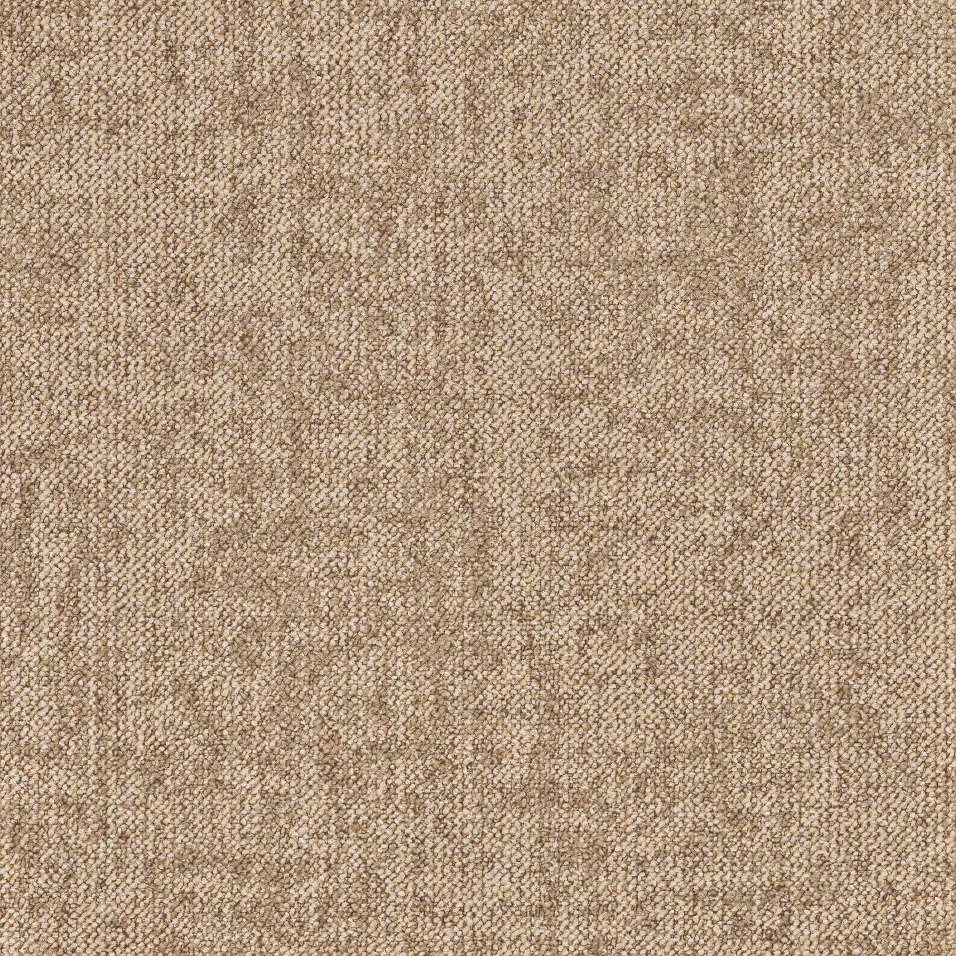 Essence Roots DESSO ESSENCE ROOTS  AD08 2088