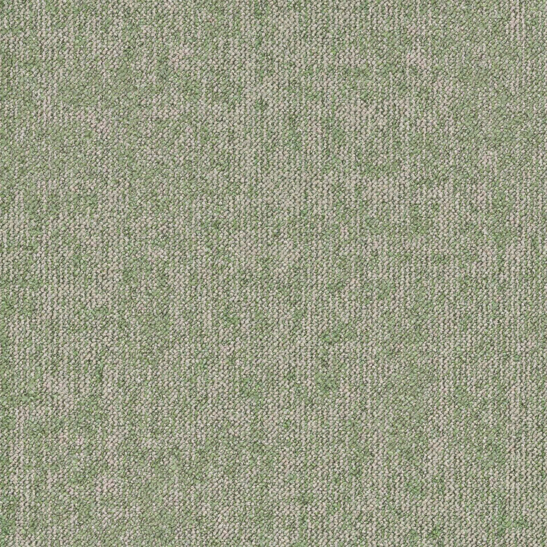 Essence Roots DESSO ESSENCE ROOTS  AD08 7284-V