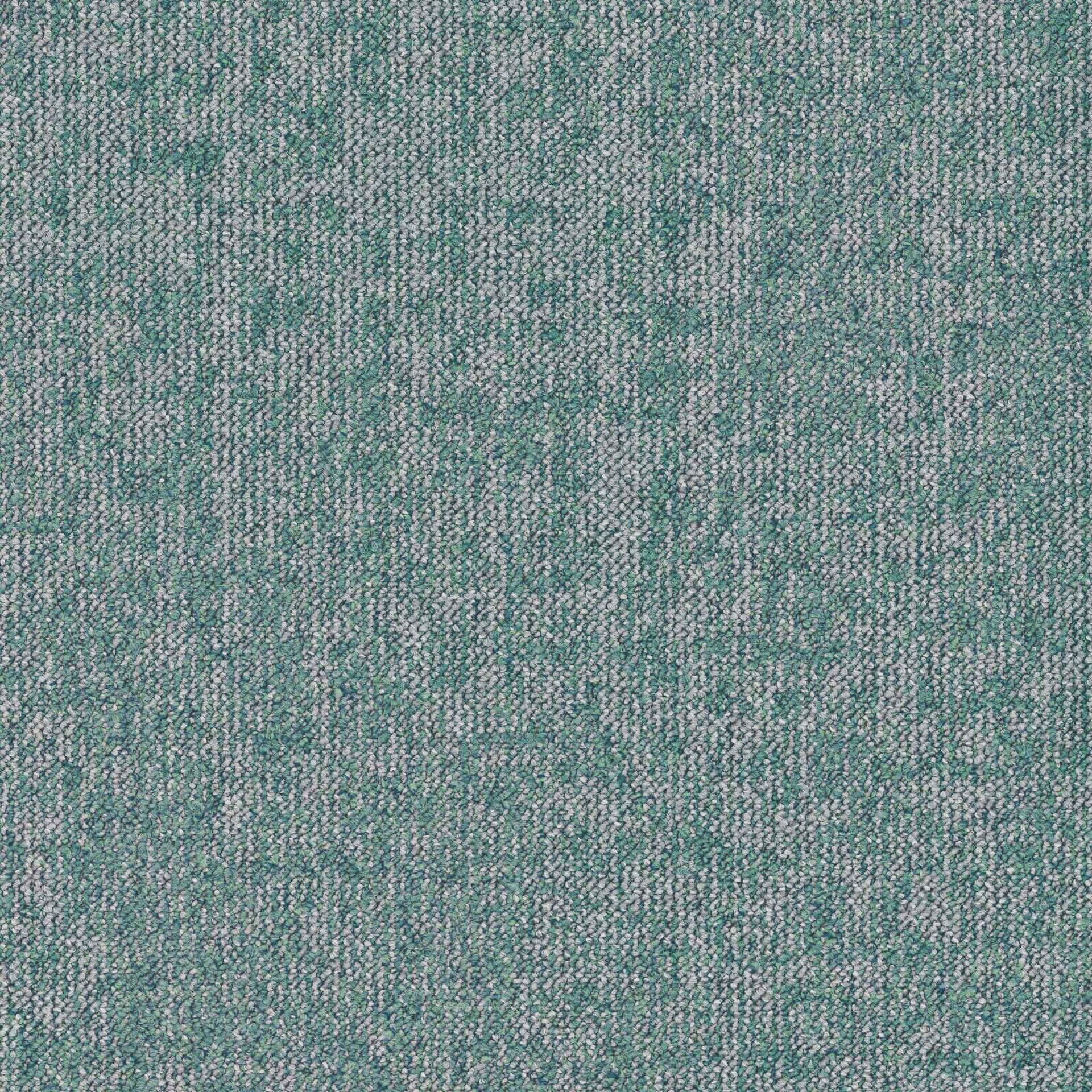 Essence Roots DESSO ESSENCE ROOTS  AD08 7803