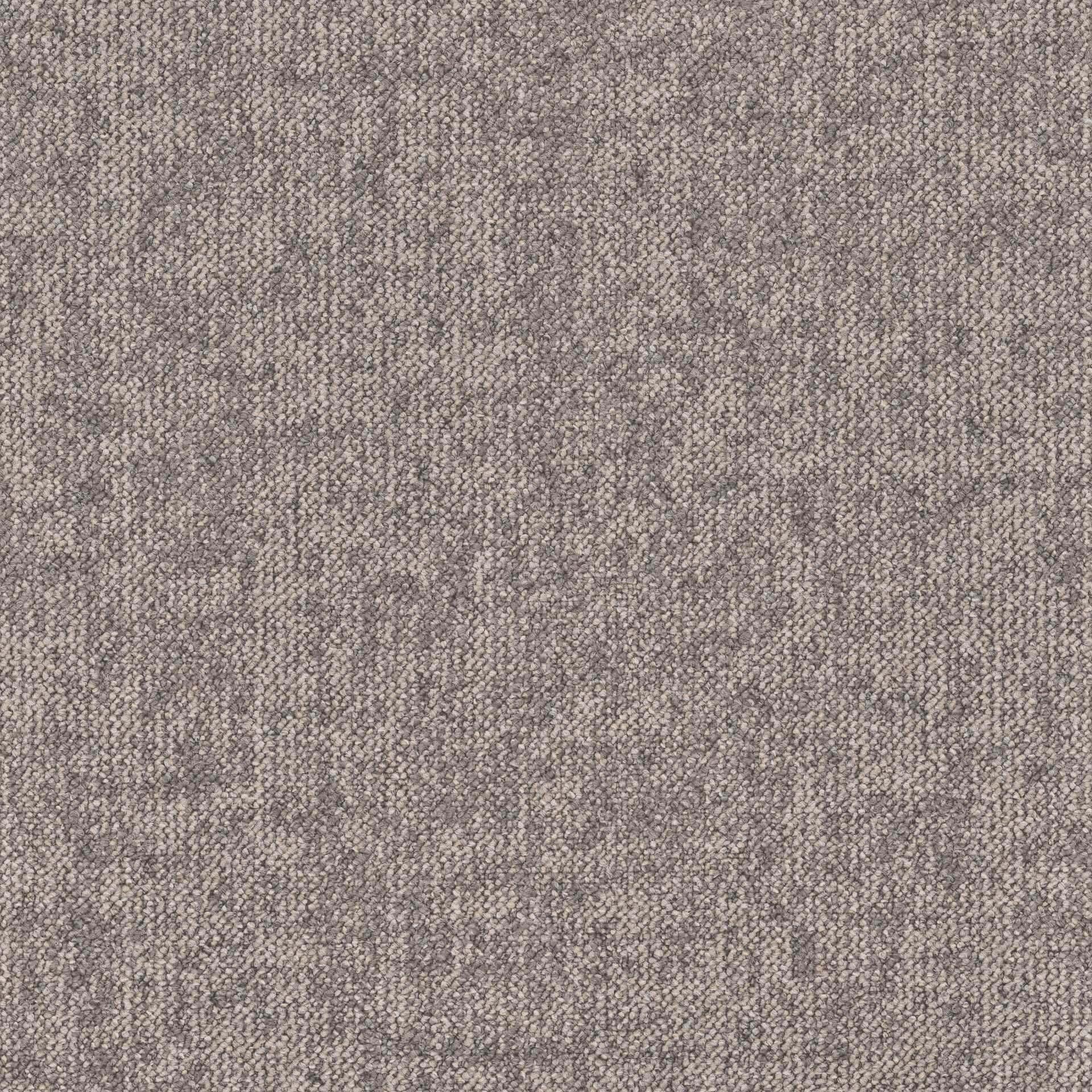 Essence Roots DESSO ESSENCE ROOTS  AD08 9961-V