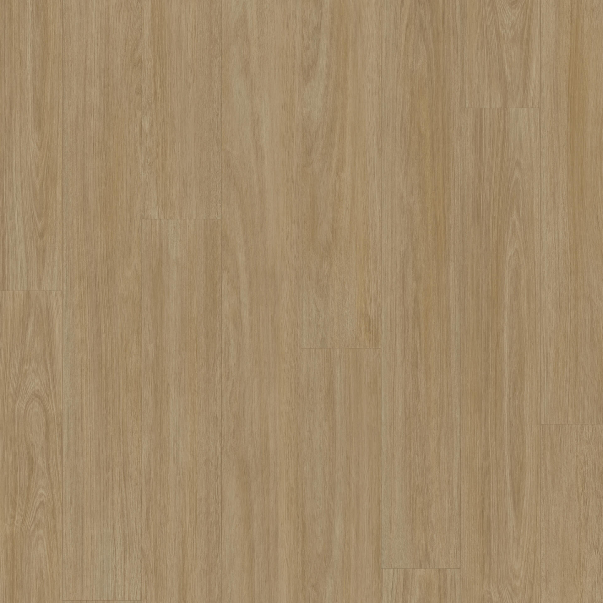 Acczent Excellence Compact+ Variant Oak Plank NUT